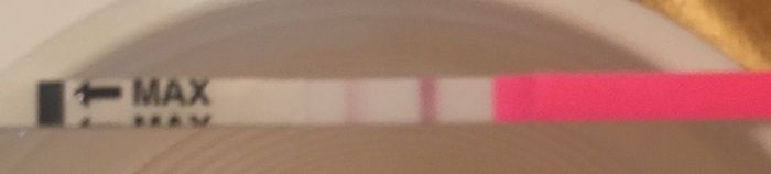 Interpretazione stick canadesi ovulazione help! - 1