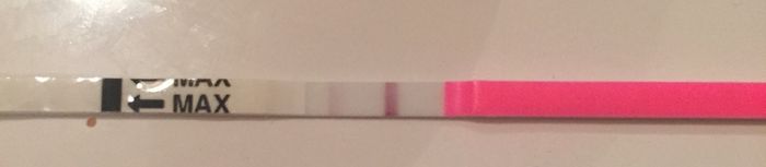 Interpretazione stick canadesi ovulazione help! - 2