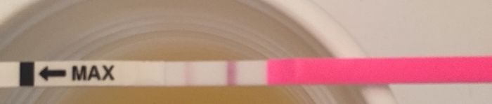 Interpretazione stick canadesi ovulazione help! - 1