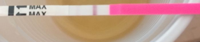 Interpretazione stick canadesi ovulazione help! - 1