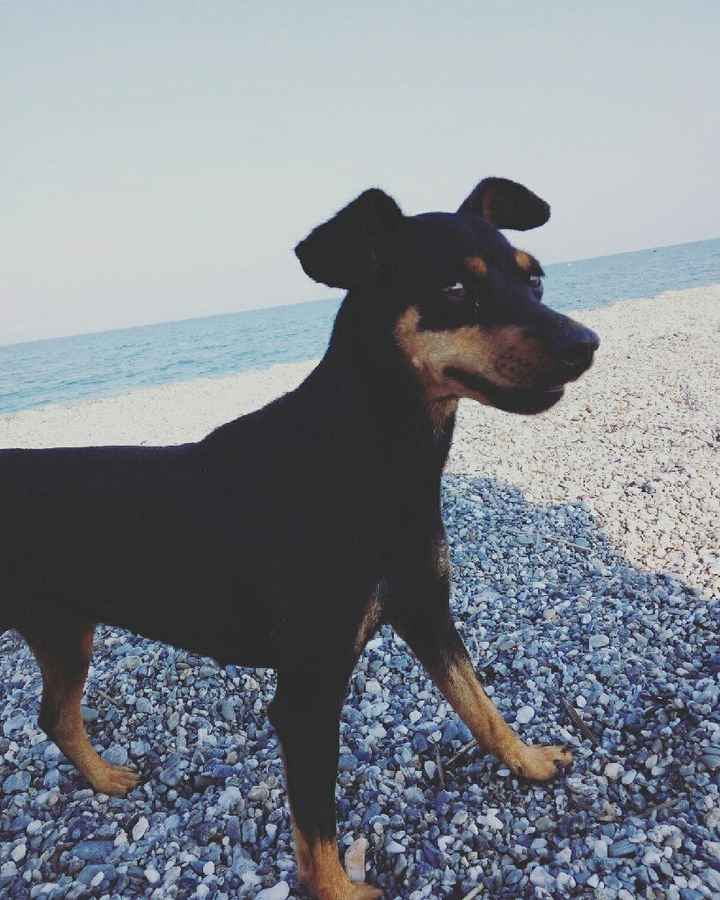 Quando l'hai presentato alla tua famiglia? - 1