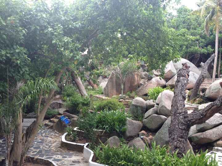 Il nostro viaggio alle seychellesa - 13