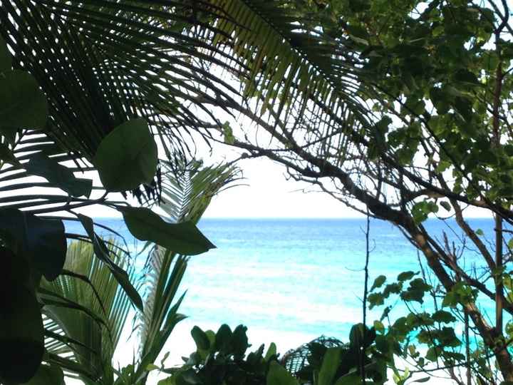 Il nostro viaggio alle seychellesa - 19