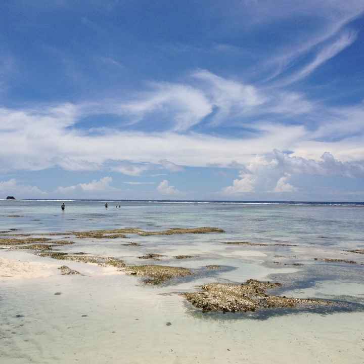 Il nostro viaggio alle seychellesa - 20