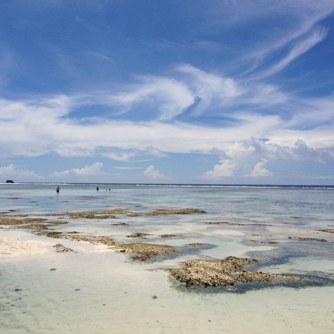 Il nostro viaggio alle seychellesa - 20