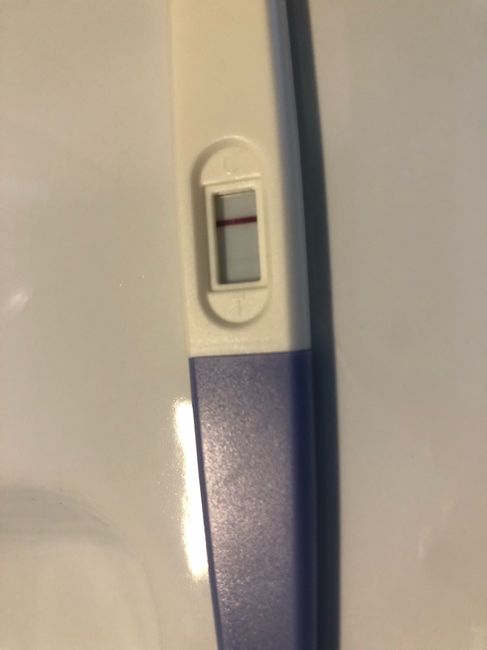 Chi non le aspetta per Dicembre 2020 🍀❣️🎄🎁🎀🌠 3