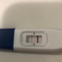 Chi non le aspetta per Dicembre 2020 🍀❣️🎄🎁🎀🌠 - 1