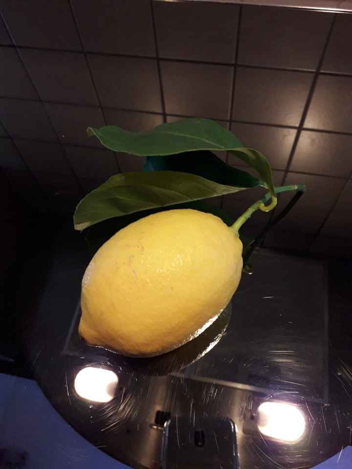 Marmellata di limoni... 