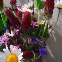 Shein / Aliexpress 👰🤵💒 - 1