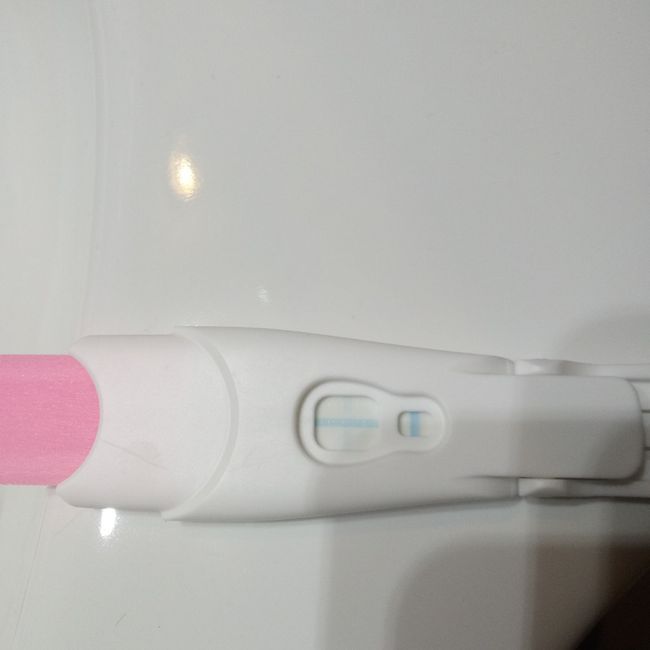 Chi non le aspetta per Novembre  2020 🍀❤️🍀❤️🍀❤️🍀❤️🍀❤️🍀❤️🍀 1