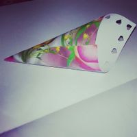 Come avete fatto i vostri coni porta riso? - 1