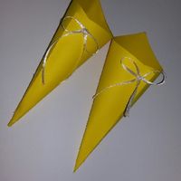 Come avete fatto i vostri coni porta riso? - 2