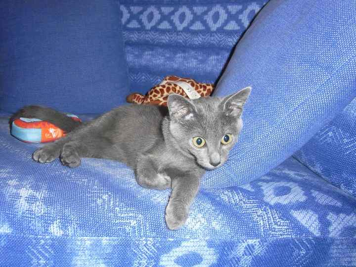 La mia "Bimba" da piccola