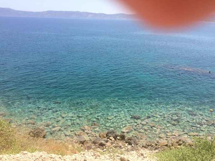 Sposi di giugno a me! - 1