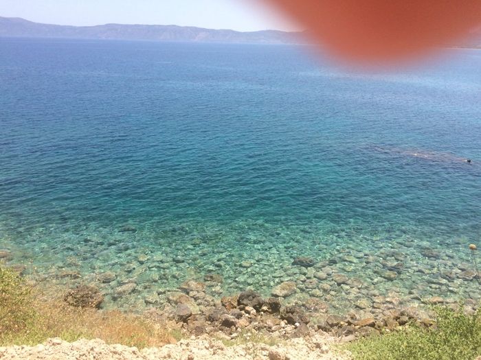 Sposi di giugno a me! - 1