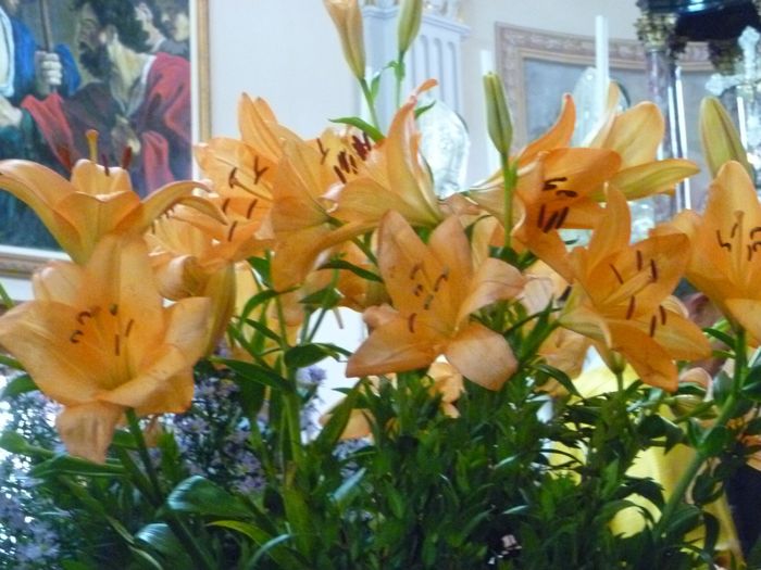 Fiori arancioni e lilla