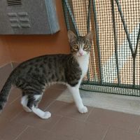 Abbiamo allargato la famiglia! - 1