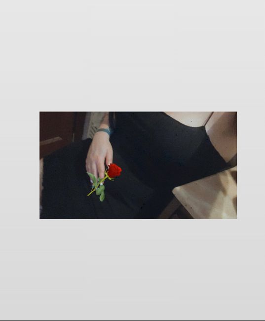 Come vi siete conosciuti 1