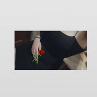 Come vi siete conosciuti - 1