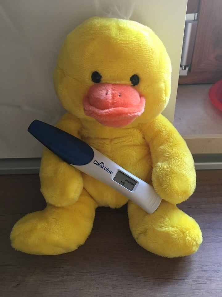 chi non le aspetta per aprile 2021😎❤️🤞❤️🍀 - 1