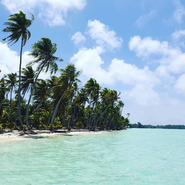 Polinesia nel 💙 - 4