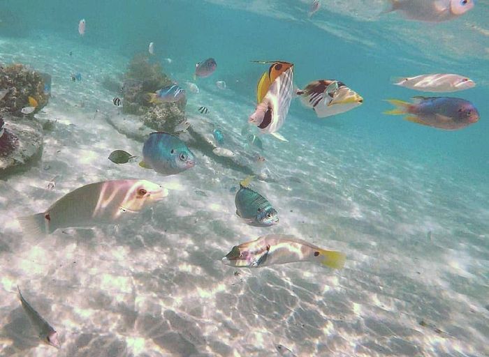 Viaggio di nozze all’insegna dell’avventura, del relax o un mix? - 10