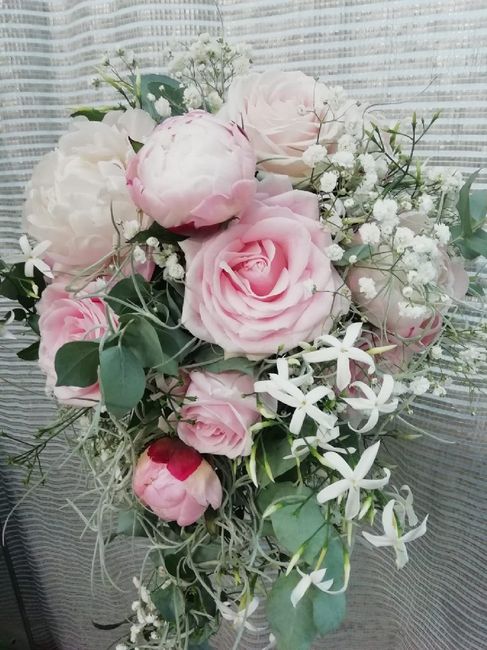 Chi ha usato il Gelsomino? - 1