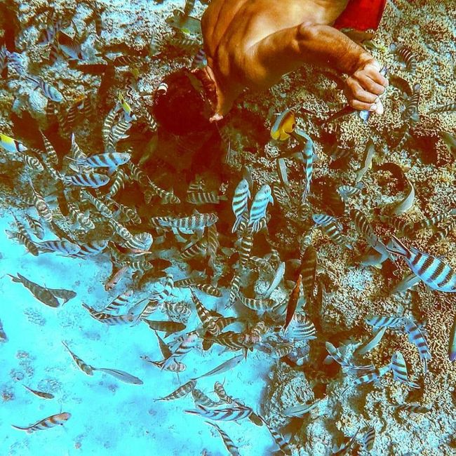 Per tutte le sposine che andranno a Bora Bora 🌺 7