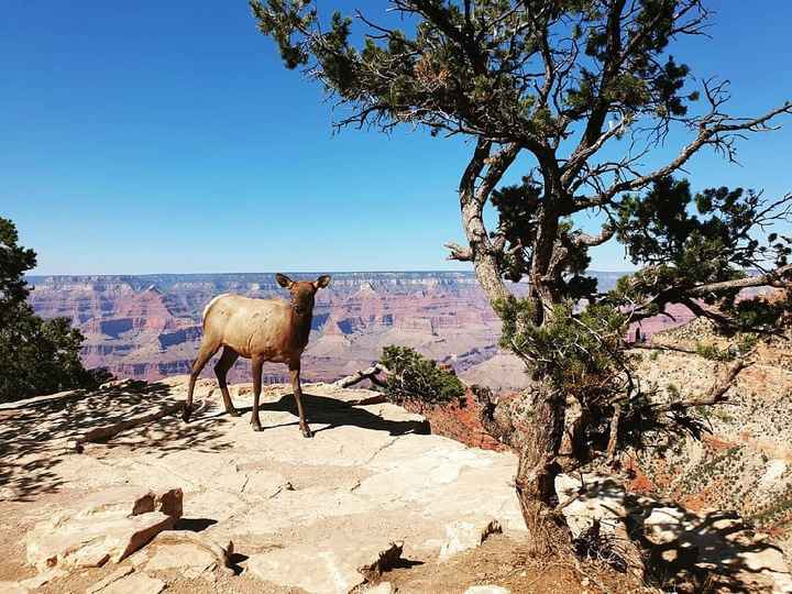 La nostra honeymoon 🧡 - 4