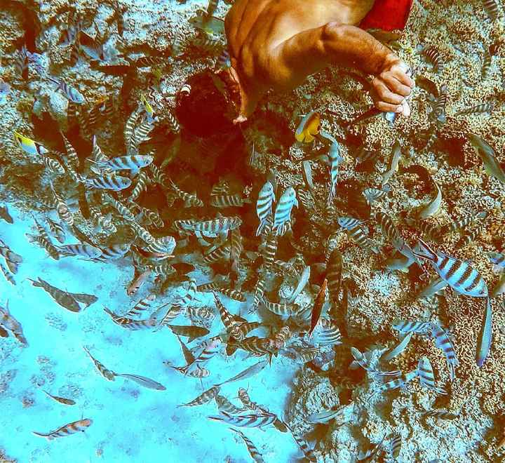 Foto dei vostri viaggi di nozze 😊 - 9