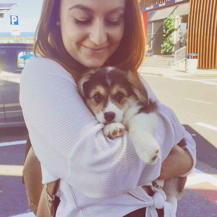 Mi presentate i vostri amici a 4 zampe?! 😃 - 2