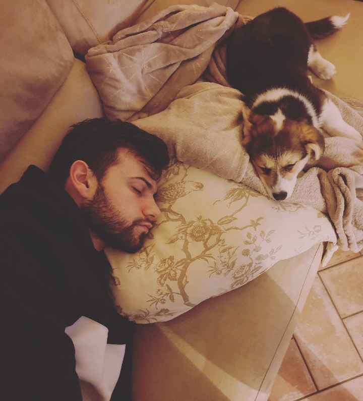 Amici a quattro zampe - 3