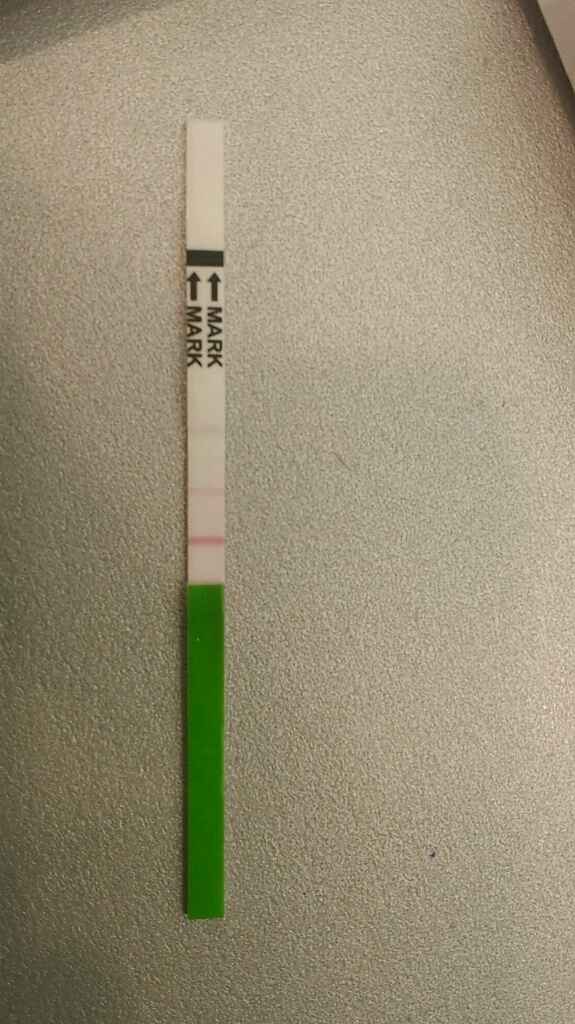 Interpretazione stick canadesi ovulazione help! - 2