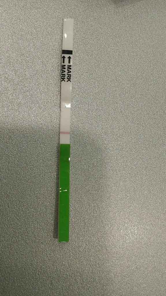 Interpretazione stick canadesi ovulazione help! - 1