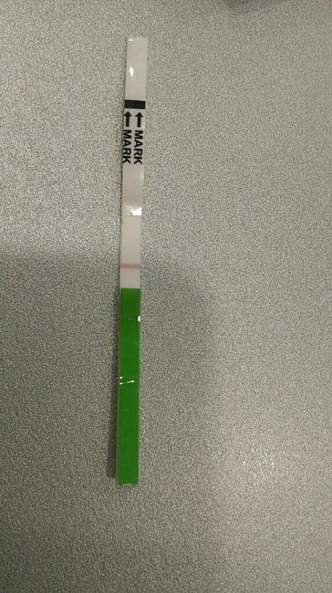 Interpretazione stick canadesi ovulazione help! - 1