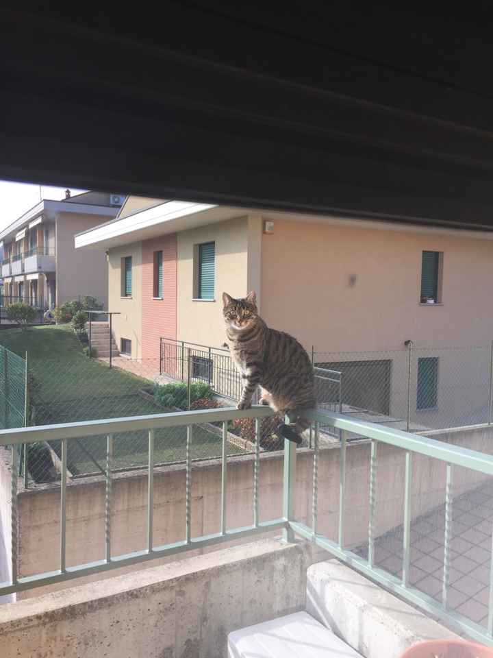 Stampando gli inviti :) - 1