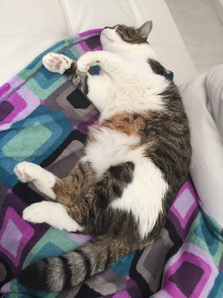 Stampando gli inviti :) - 3