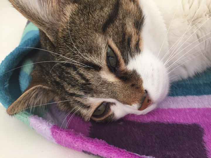 Stampando gli inviti :) - 4