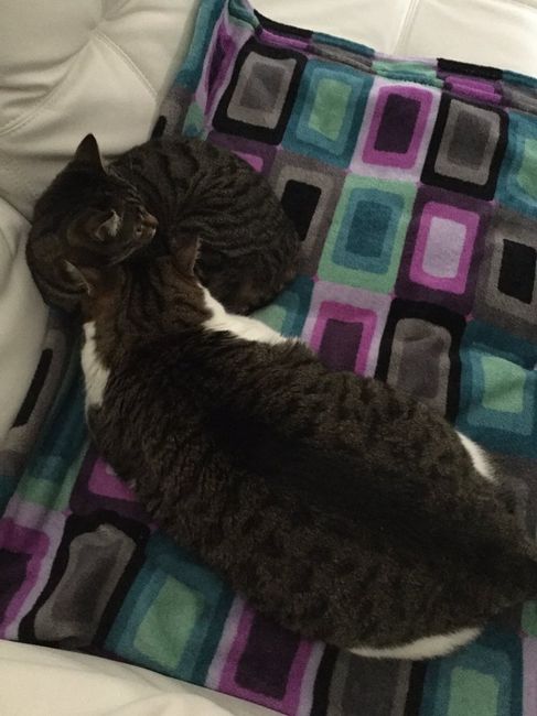 Stampando gli inviti :) - 2