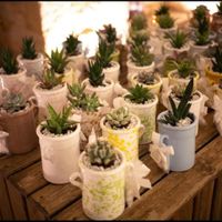 Cosa fate come bomboniera? - 1