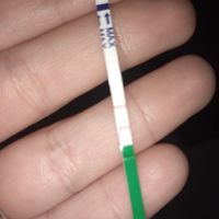 Chi non le aspetta per Marzo 2020 - 1