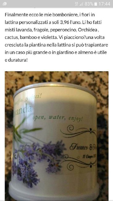 Pianta grassa bomboniera - 1