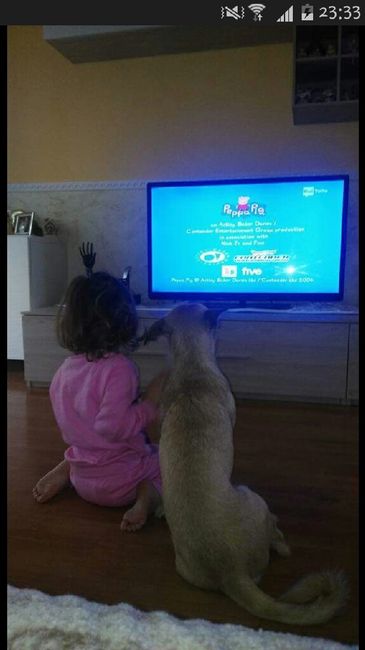 Vivere anche con un amico a quattro zampe... - 1