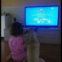 Vivere anche con un amico a quattro zampe... - 1