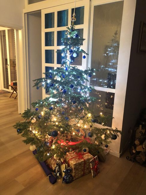 Avete mai fatto l'albero insieme? - 1