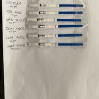 Chi non le aspetta per Febbraio 2022 🤩🤞🍀❤️ - 1