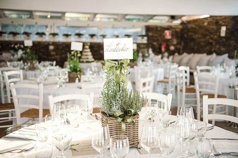 Tema libri e tema piante aromatiche 4