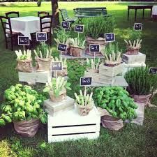 Tema libri e tema piante aromatiche 5