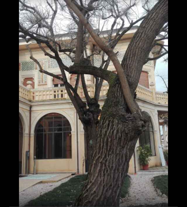 Location Rito Civile 😊😊😊 - 3