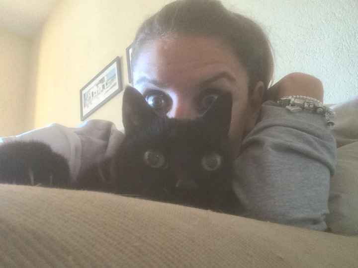 Foto di nozze con i nostri amici animali - 1